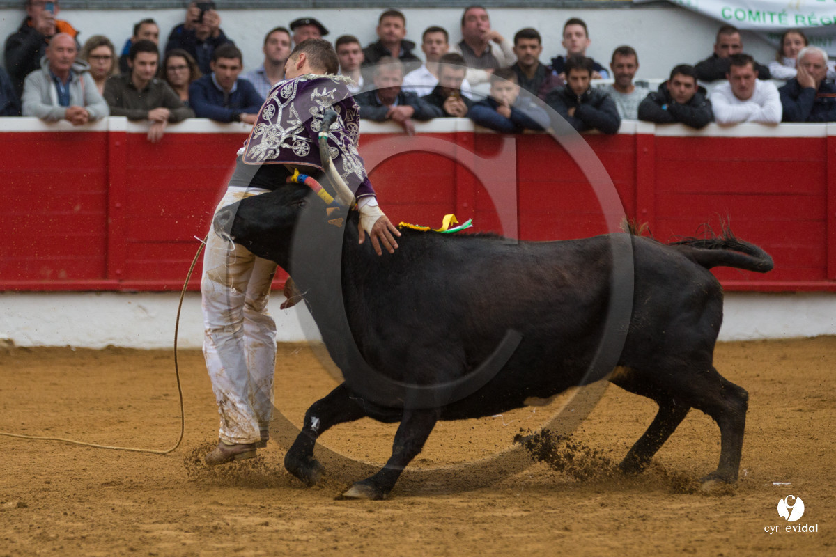 Nogaro Championnatde France de Course Landaise 2017