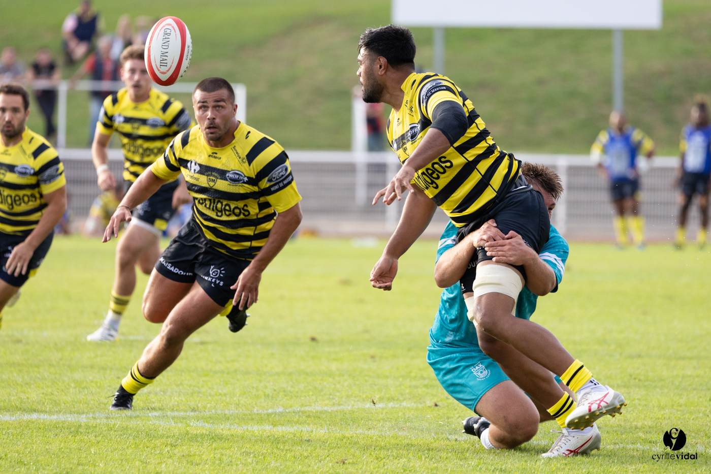 Dax - Stade Montois Rugby