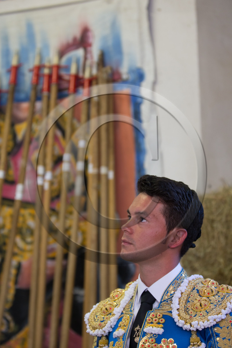 corrida, toro, vic fezensac, alcurrucen, michelito, morenito de aranda