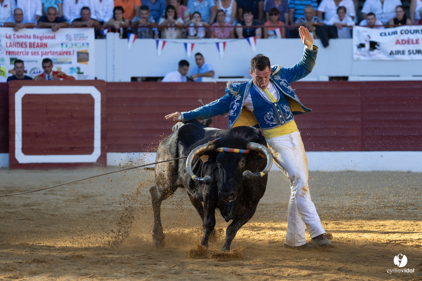 Aire-sur-l'Adour Championnat de France de course landaise 2023