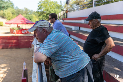 Course landaise à Panjas