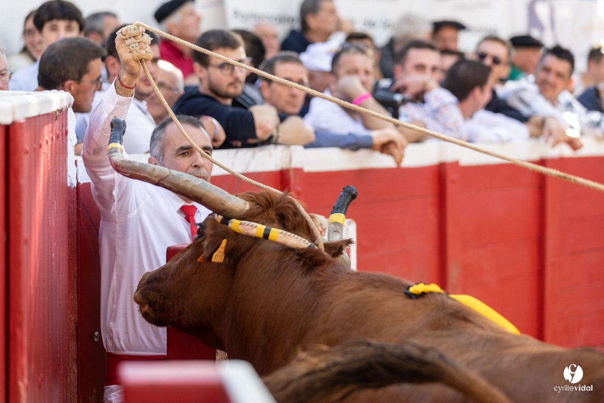 Nogaro Championnat de France de course landaise 2022