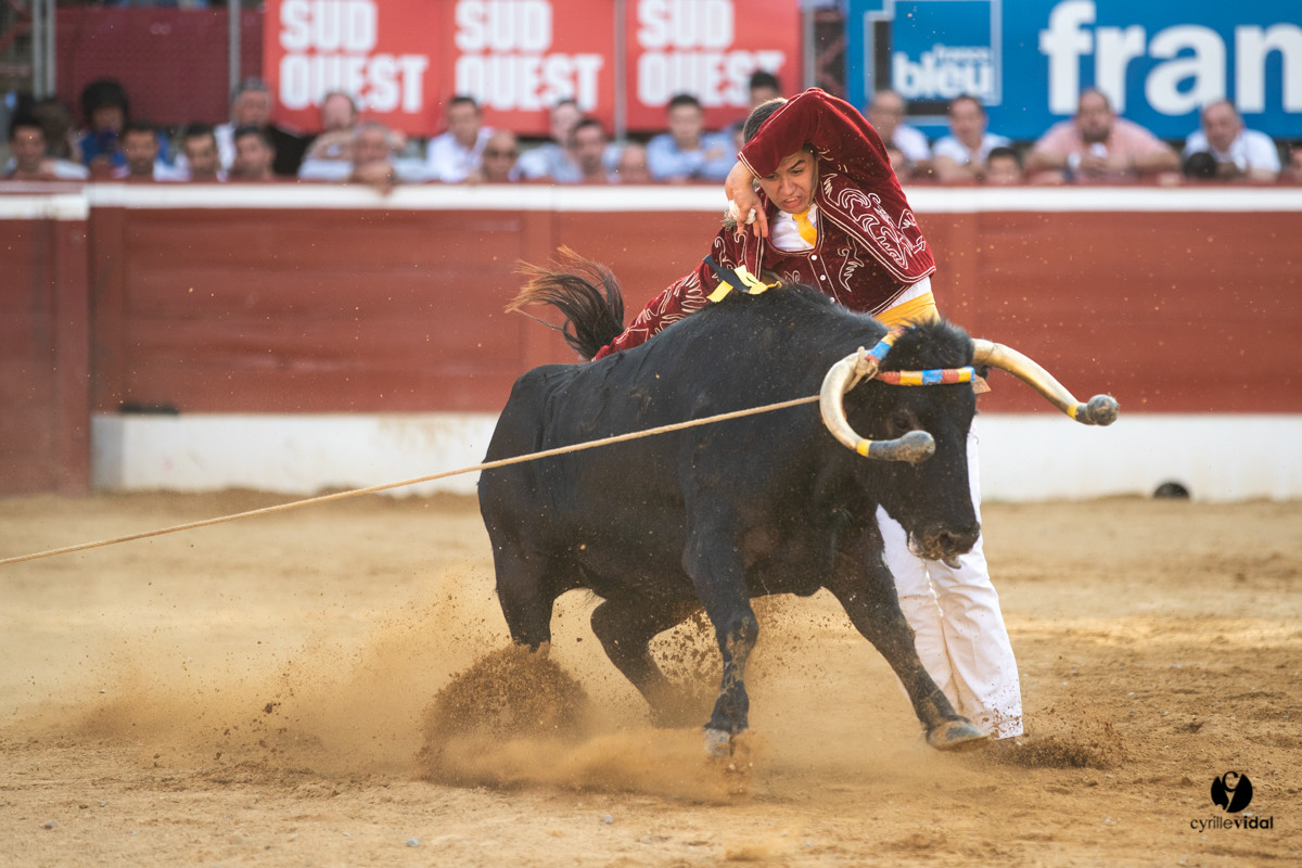 Mont-de-Marsan championnat de France de course landaise 2019