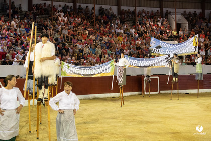 Landes émotions à Aire-sur-l'Adour