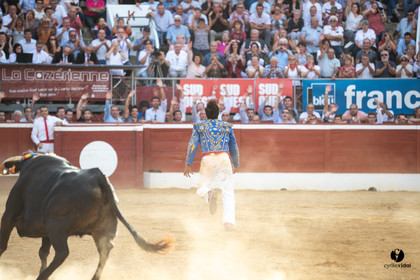 Mont-de-Marsan championnat de France de course landaise 2019