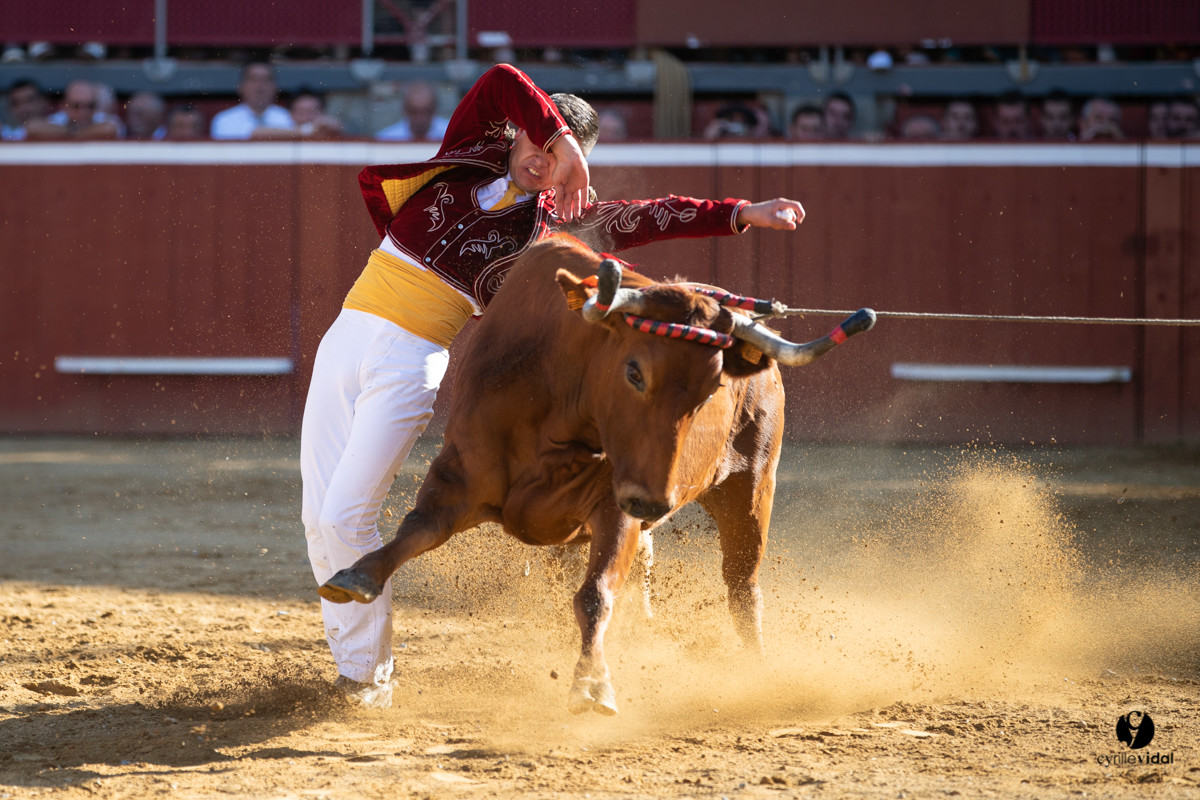 Mont-de-Marsan championnat de France de course landaise 2019