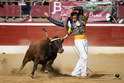 Mont-de-Marsan championnat de France de course landaise 2019