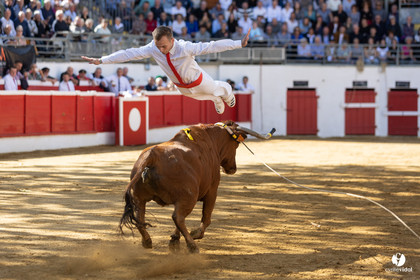 Nogaro Championnat de France de course landaise 2022