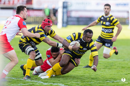 Stade Montois Rugby - Biarritz
