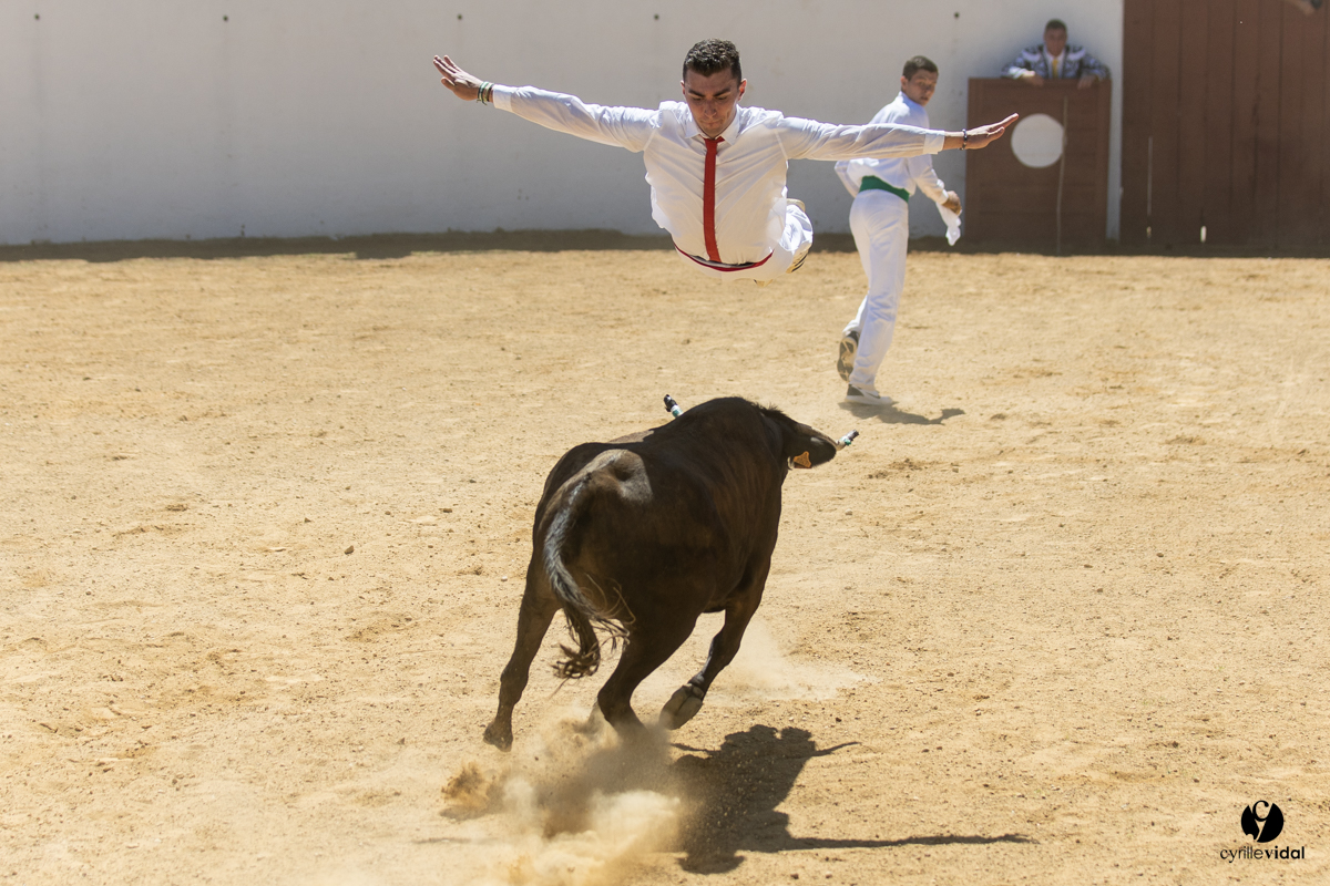 Saint-Cricq Chalosse course landaise de promotion Ganadéria Deyris Cuadrilla Jérémy Lafitte