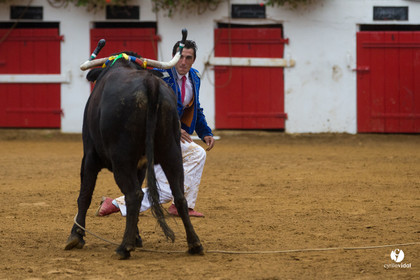 Nogaro Championnatde France de Course Landaise 2017