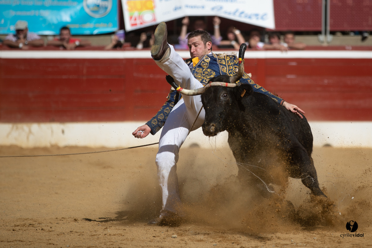 Mont-de-Marsan championnat de France de course landaise 2019