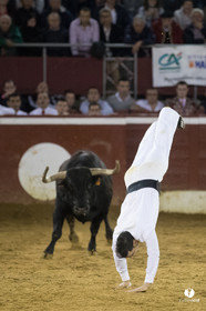 Mont-de-Marsan festival Art et Courage