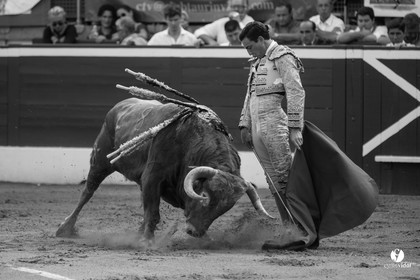 Mont-de-Marsan corrida de Dolores Aguirre pour Octavio Chacon - Pepe Moral - Juan Léal