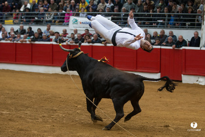 Nogaro Championnatde France de Course Landaise 2017