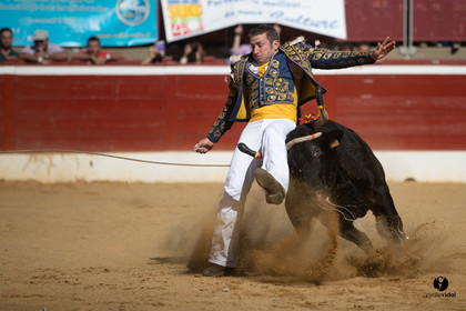 Mont-de-Marsan championnat de France de course landaise 2019