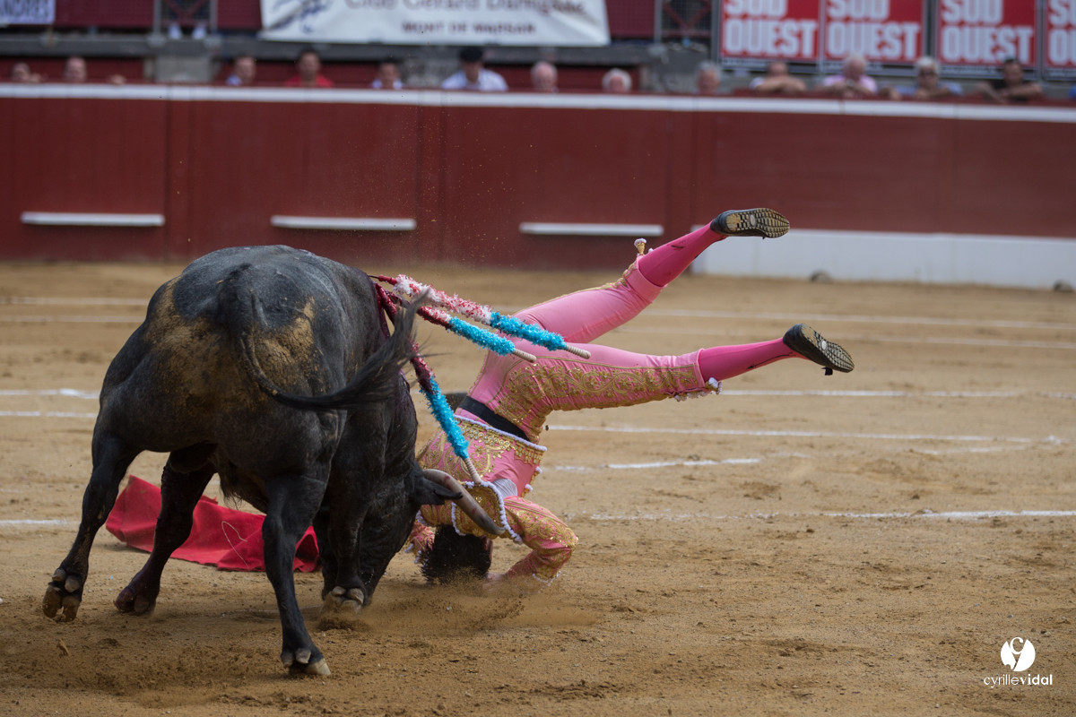 Mont-de-Marsan corrida d'Adolfo Martin