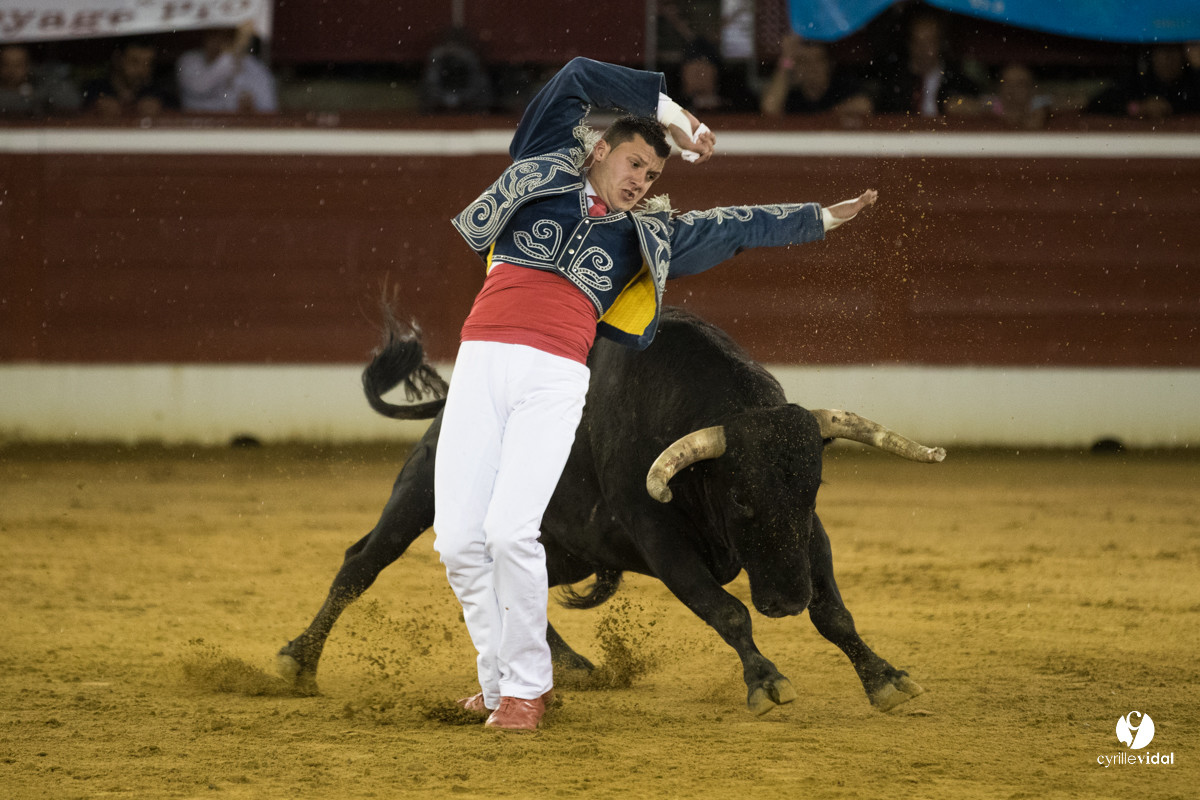 Mont-de-Marsan festival Art et Courage
