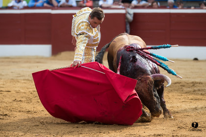 Mont-de-Marsan corrida de Garcigrande pour El Juli et Juan Bautista