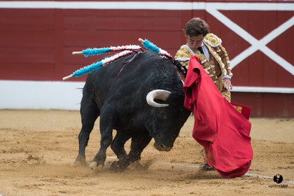 Mont-de-Marsan corrida de Garcigrande pour El Juli et Juan Bautista