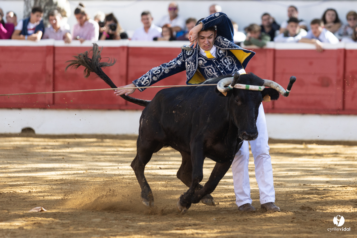 Nogaro Championnat de France de course landaise 2022