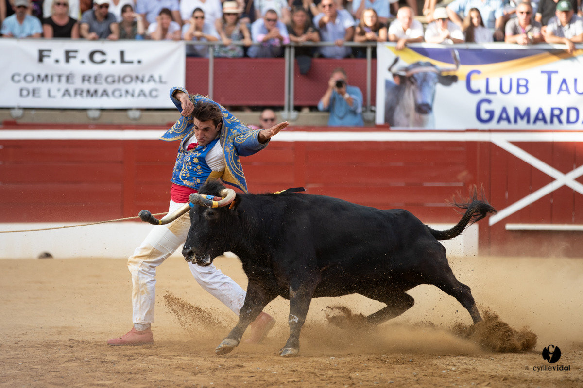Mont-de-Marsan championnat de France de course landaise 2019