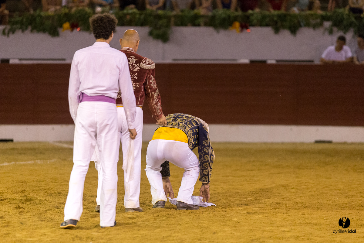 Aire sur l'Adour course landaise génération Aturine