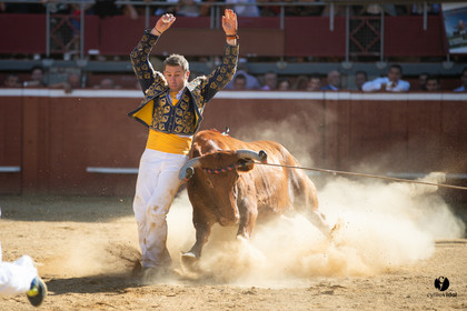 Mont-de-Marsan championnat de France de course landaise 2019