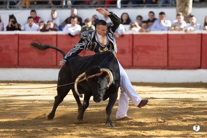 Nogaro Championnat de France de course landaise 2022