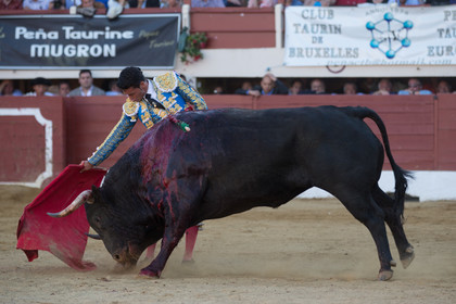 corrida, toro, vic fezensac, alcurrucen, michelito, morenito de aranda