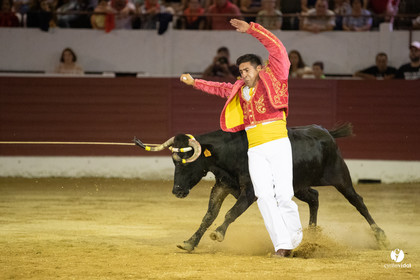 Landes émotions à Aire-sur-l'Adour