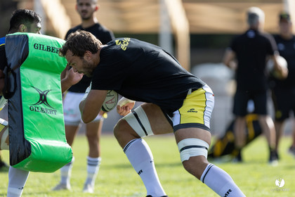 Stade Montois Rugby - Section Paloise