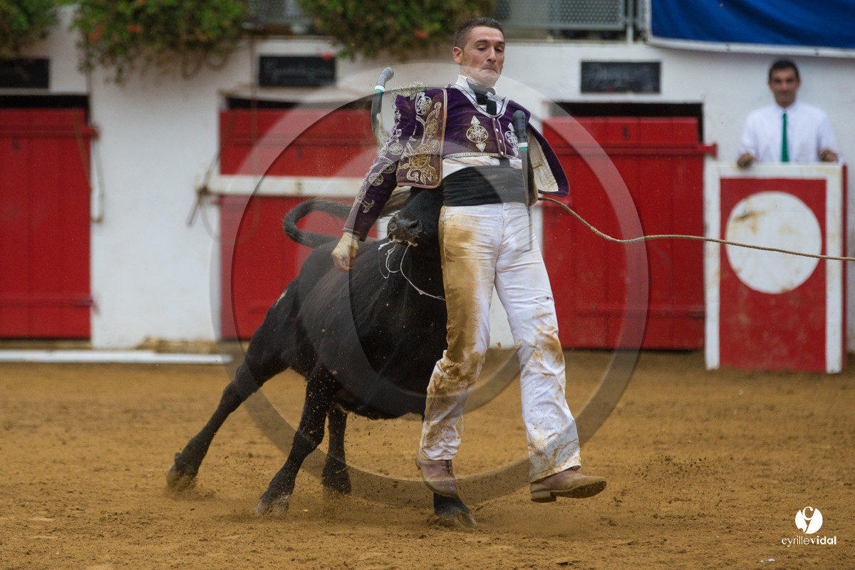 Nogaro Championnatde France de Course Landaise 2017