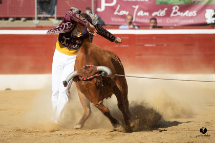 Mont-de-Marsan championnat de France de course landaise 2019