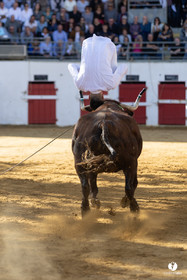 Nogaro Championnat de France de course landaise 2022