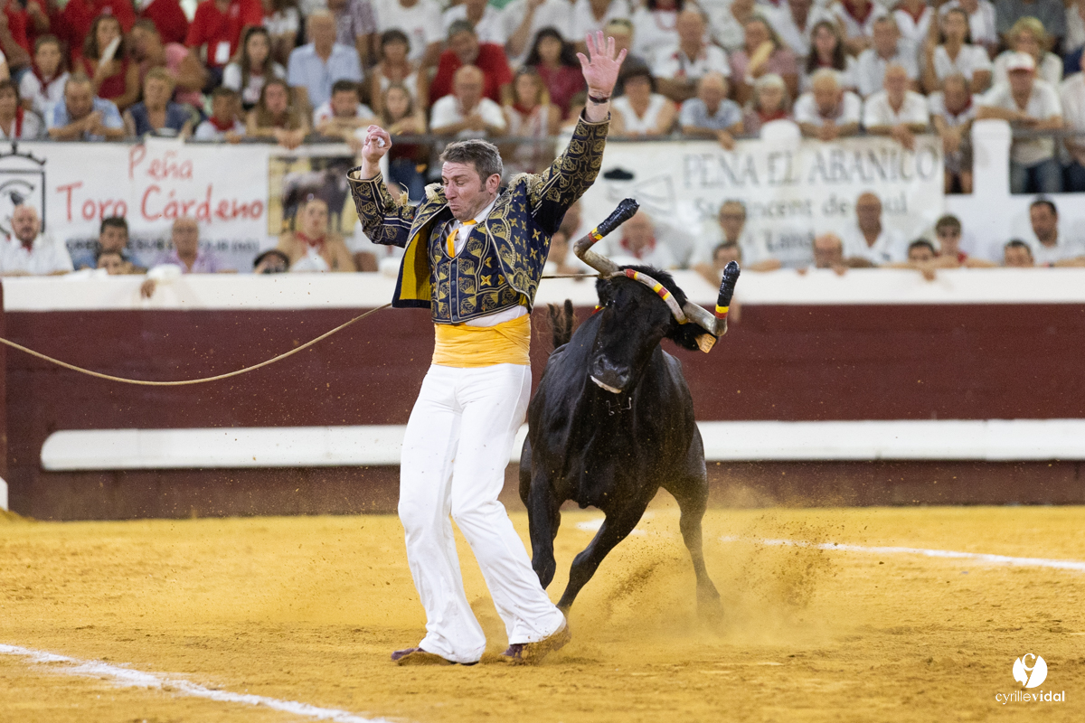 Dax concours landais 2022