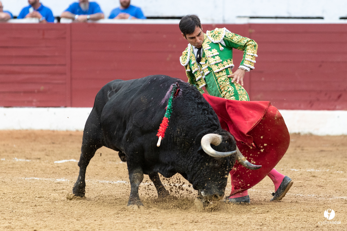 Corrida d'Aire sur l'Adour