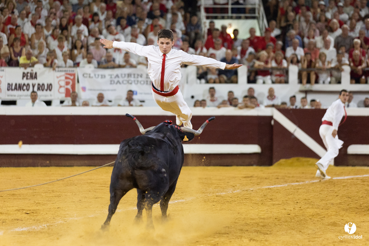 Dax concours landais 2022