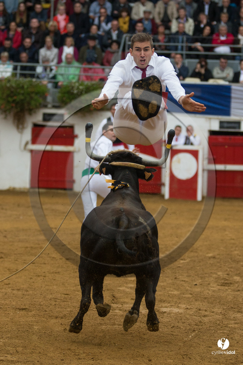 Nogaro Championnatde France de Course Landaise 2017
