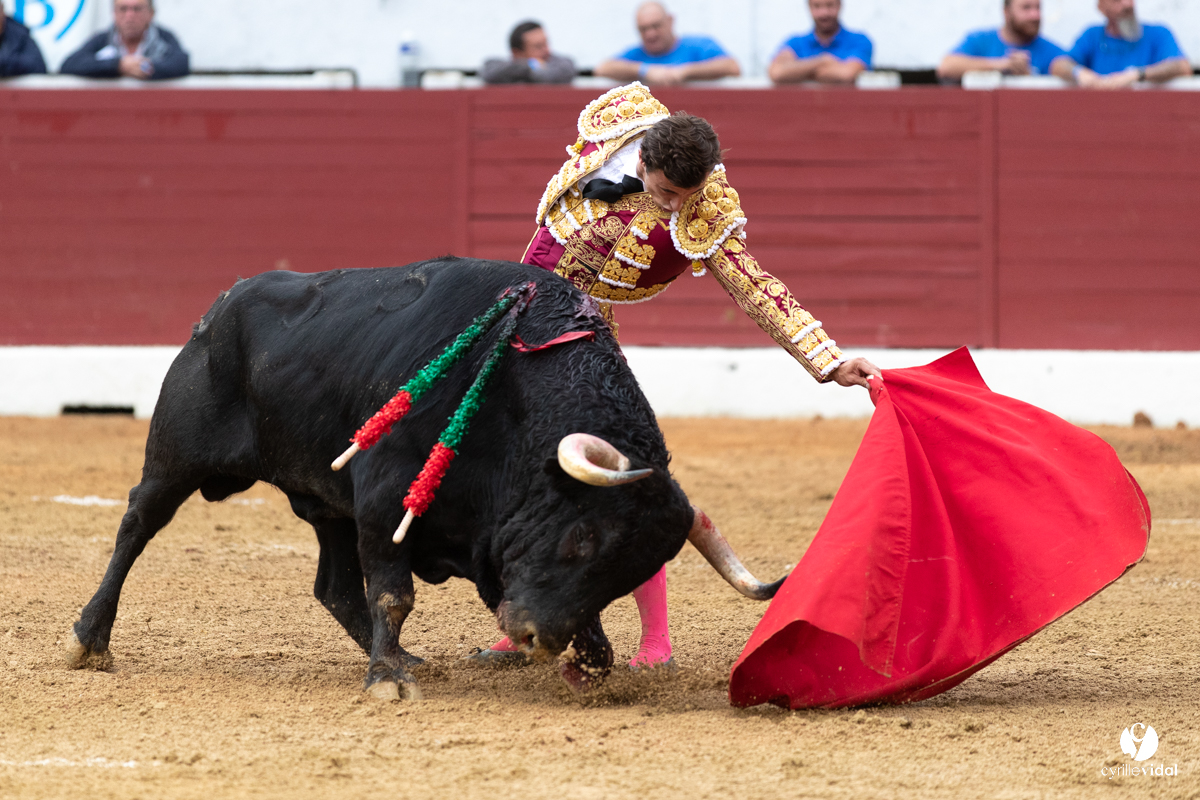 Corrida d'Aire sur l'Adour