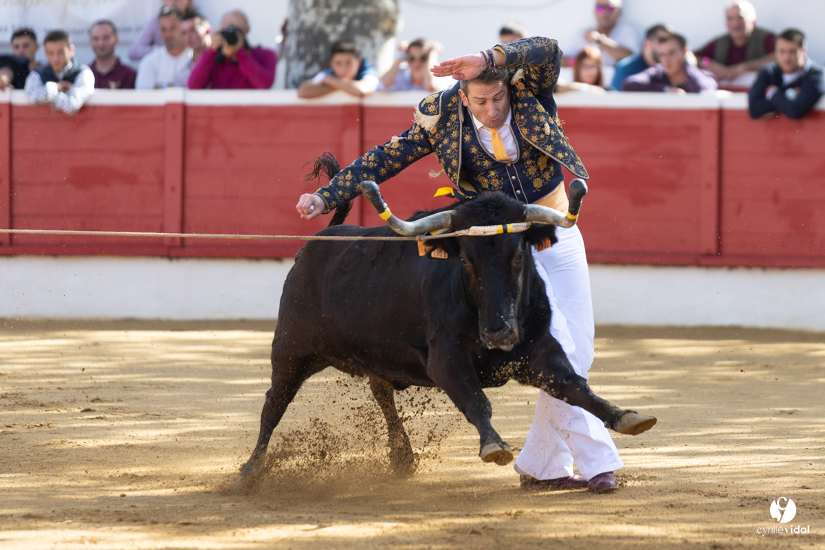Nogaro Championnat de France de course landaise 2022