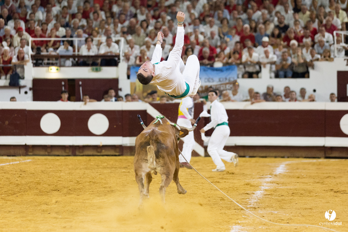 Dax concours landais 2022