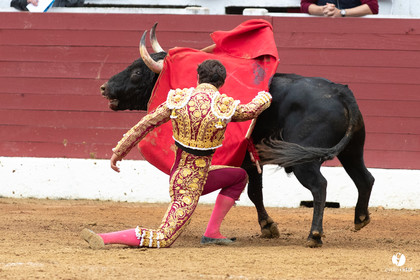Corrida d'Aire sur l'Adour