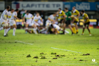 Stade Montois Rugby - Carcassonne