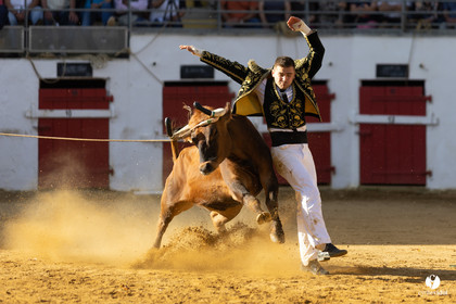 Nogaro Championnat de France de course landaise 2022