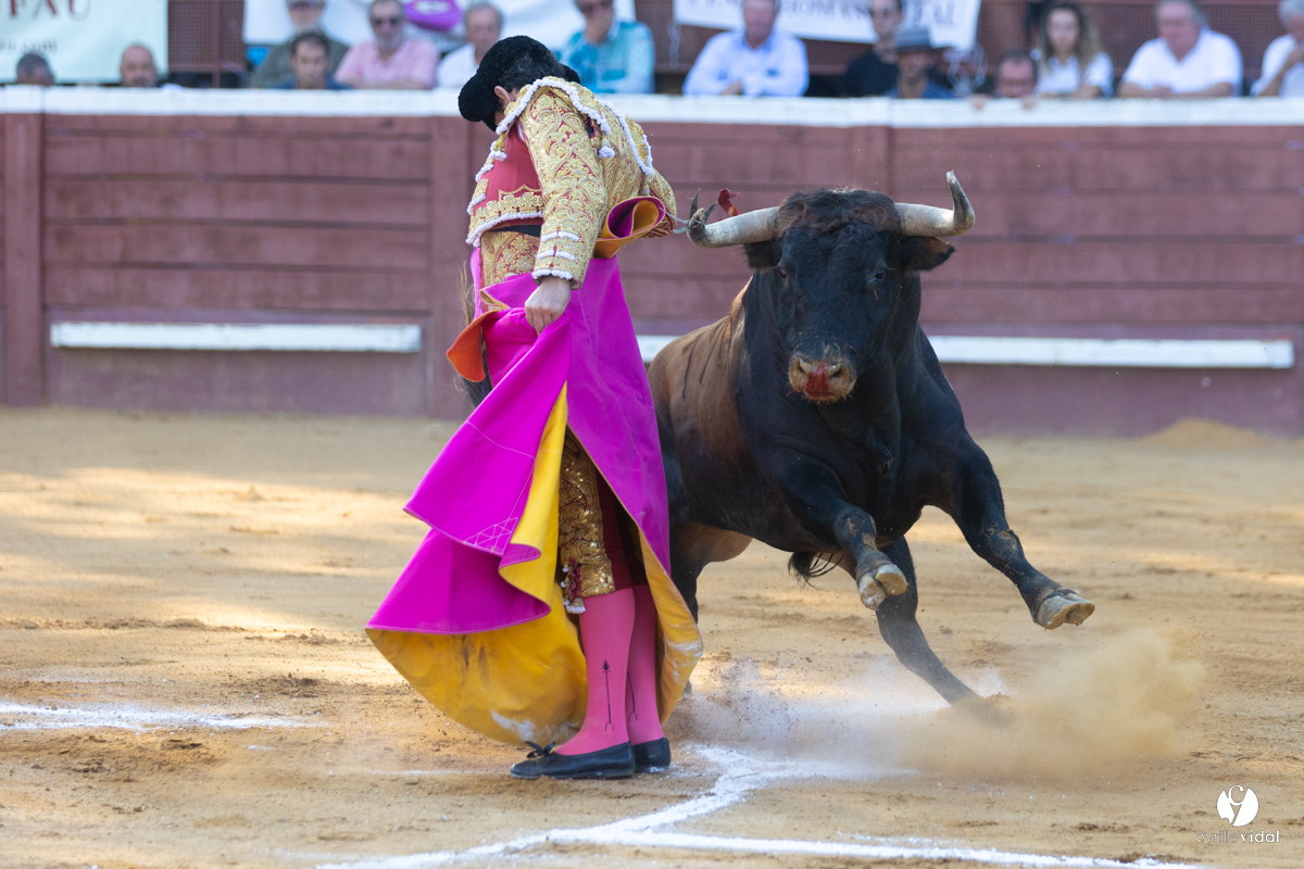 Corrida de Villeneuve-de-Marsan