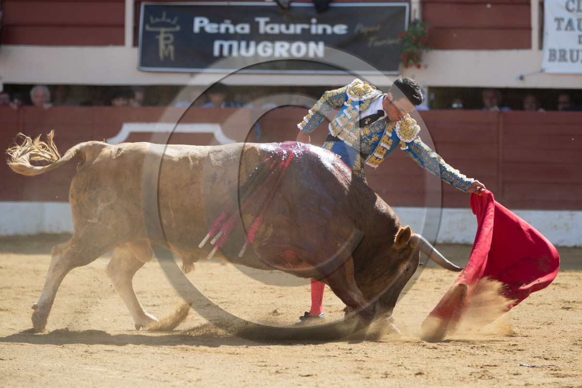 corrida, toro, vic fezensac, alcurrucen, michelito, morenito de aranda