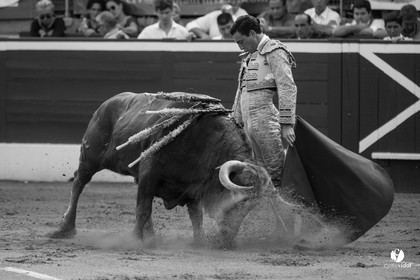 Mont-de-Marsan corrida de Dolores Aguirre pour Octavio Chacon - Pepe Moral - Juan Léal