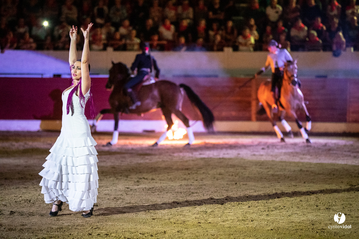 Landes émotions à Aire-sur-l'Adour