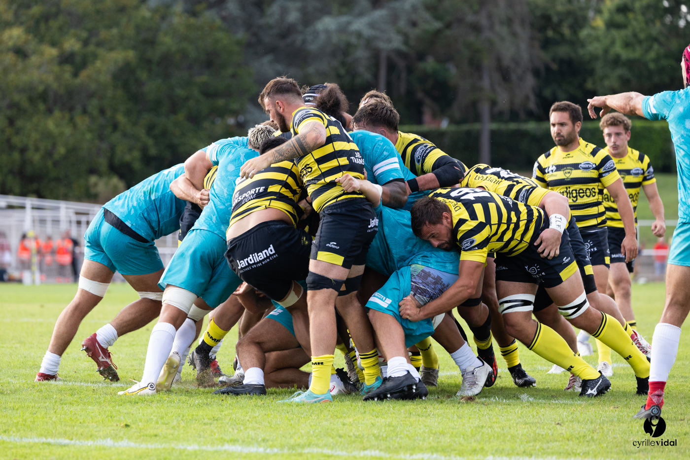 Dax - Stade Montois Rugby
